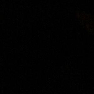 Meet your Posher, Nicki